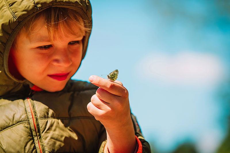 Young child in green jacket curiously holding a green butterfly on finger against blue sky, illustrating freedom in any occupation income protection insurance.
